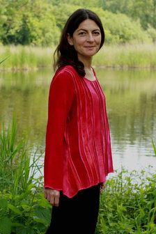 Blouse rood stroken - Liz