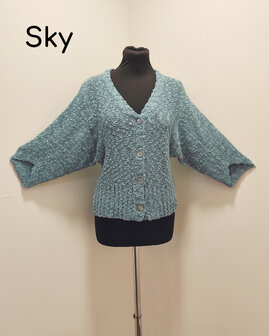 Vest 005 sky