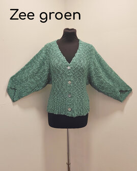 Vest 005 zee groen