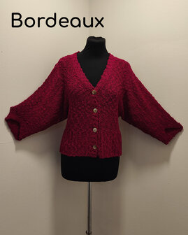 Vest 005 bordeaux