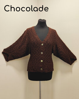 Vest 005 bruin