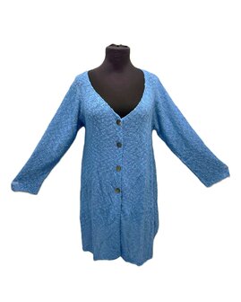 Vest Madelief licht blauw