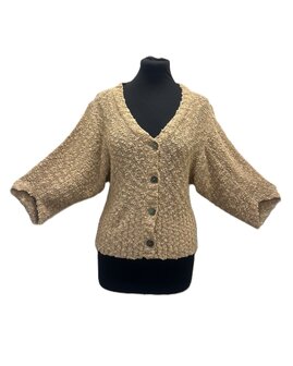 Vest 005 - champagne