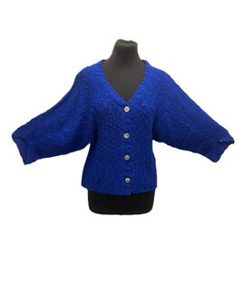 Vest 005 - kobalt blauw