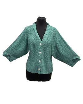 Vest 005 - marijn mint