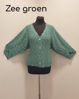 Vest 005 zee groen Vest 005 zee groen